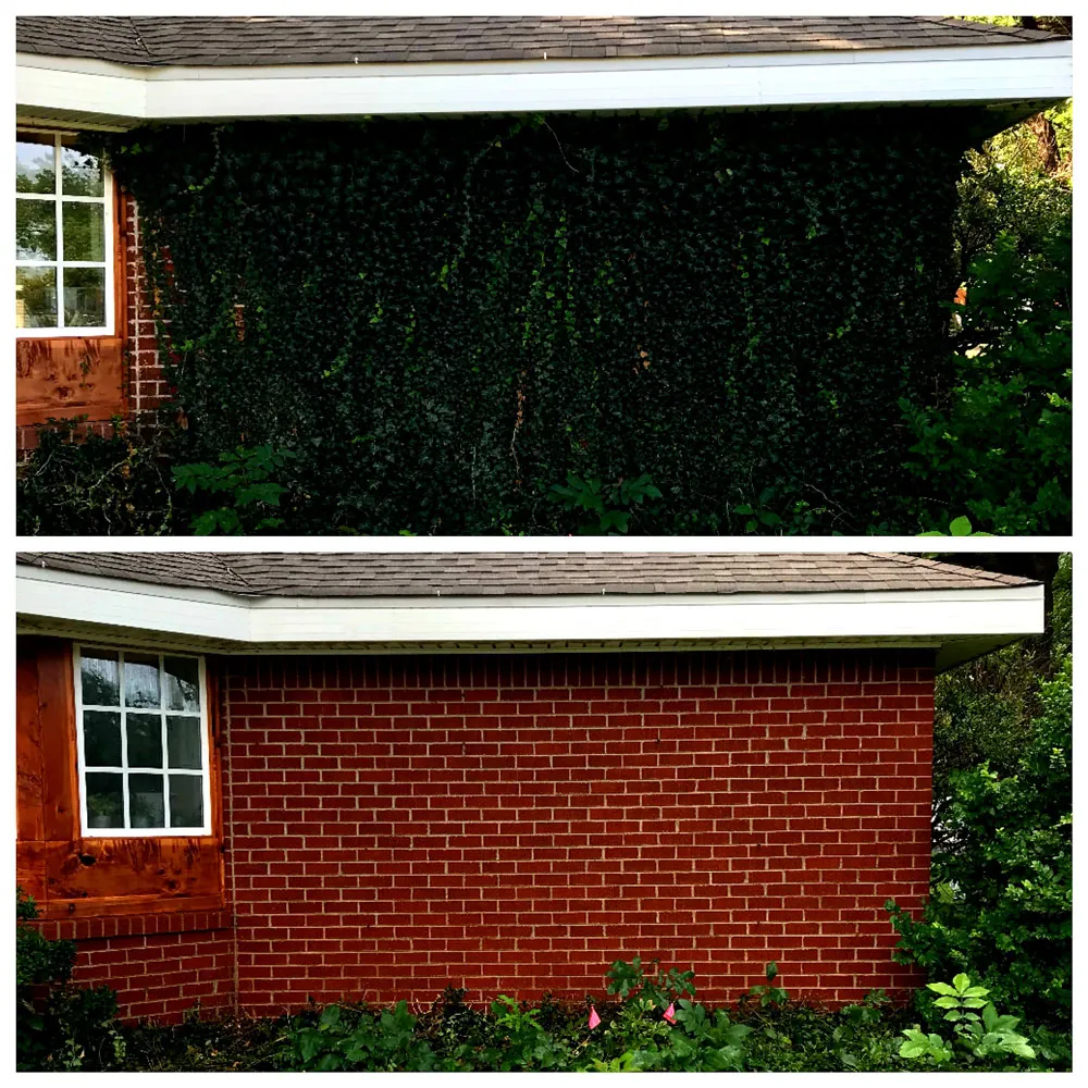 A brick wall with plants and without.